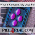 What Is Kamagra Jelly Used For 04